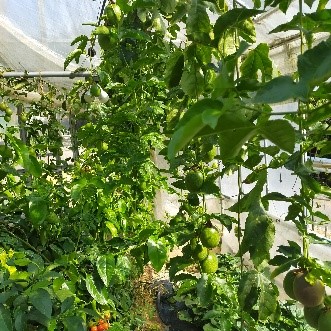 サムズファーム